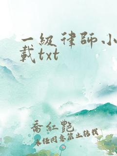 一级律师小说下载txt