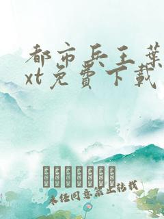 都市兵王叶青txt免费下载