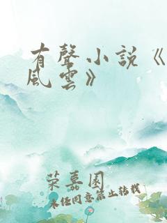 有声小说《官路风云》