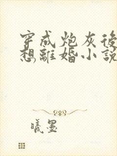 穿成炮灰后我只想离婚小说免费阅读