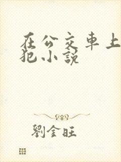 在公交车上被侵犯小说