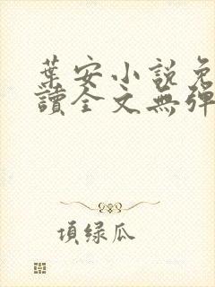 叶安小说免费阅读全文无弹窗