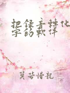 把录音转化成文字的软件