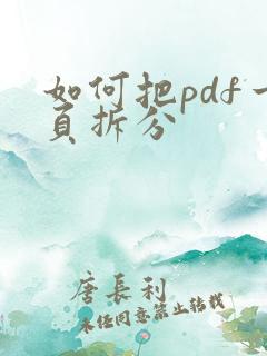 如何把pdf一页拆分