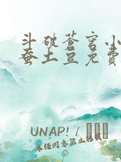 斗破苍穹小说天蚕土豆免费