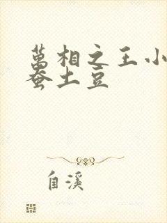 万相之王小说天蚕土豆