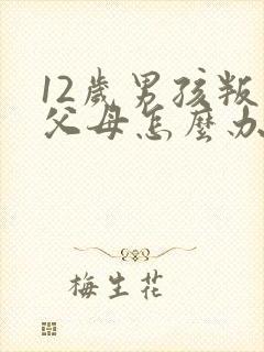 12岁男孩叛逆父母怎么办