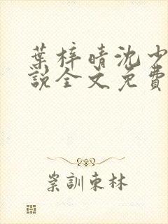叶梓晴沈少廷小说全文免费阅读
