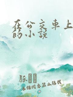 在公交车上被插的小说