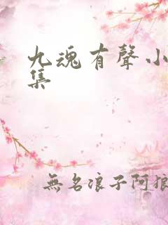 九魂有声小说全集