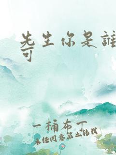 先生你是谁林亦可