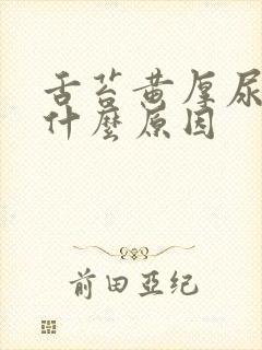舌苔黄厚尿黄是什么原因
