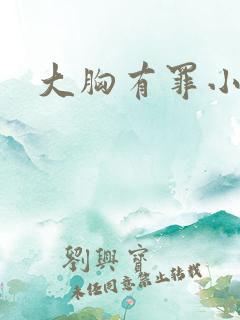 大胸有罪小说