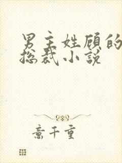 男主姓顾的现代总裁小说
