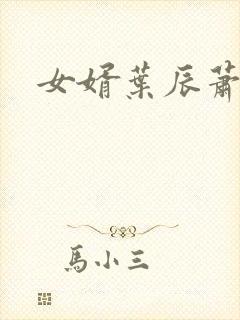 女婿叶辰萧初然