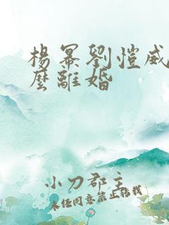 杨幂刘恺威为什么离婚