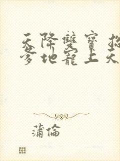 天降双宝 总裁爹地宠上天