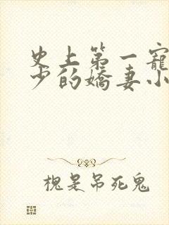 史上第一宠婚慕少的娇妻小说免费