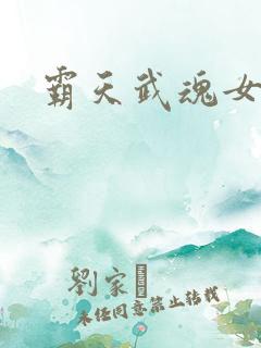 霸天武魂女主
