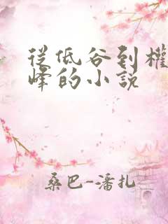从低谷到权力巅峰的小说