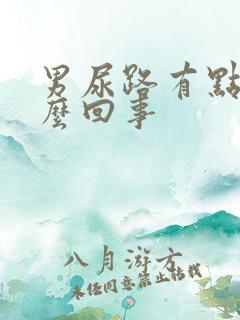 男尿路有点疼怎么回事