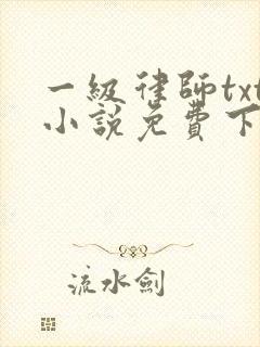 一级律师txt小说免费下载