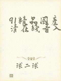 91精品国产高清在线看入口