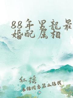 88年男龙最佳婚配属相