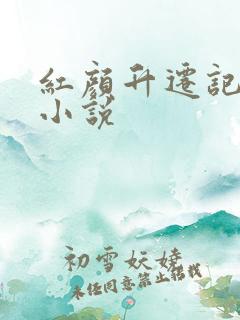 红颜升迁记原著小说