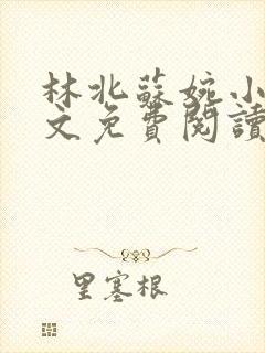 林北苏婉小说全文免费阅读无弹窗
