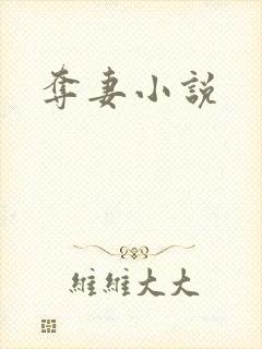 夺妻小说