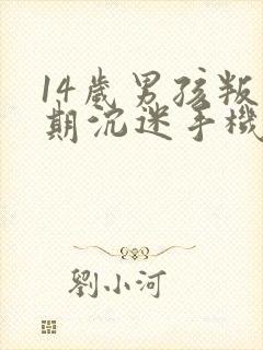 14岁男孩叛逆期沉迷手机怎么管教