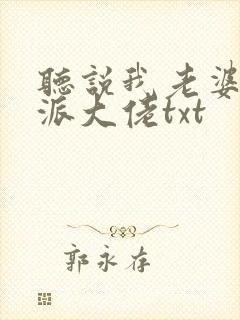 听说我老婆是反派大佬txt