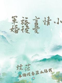 军旅言情小说先婚后爱