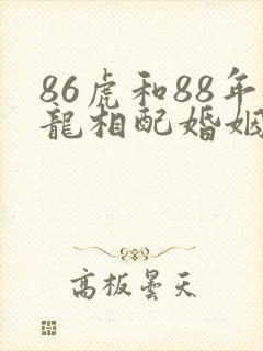 86虎和88年龙相配婚姻如何