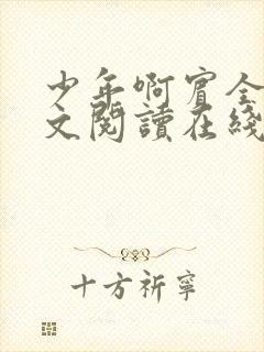 少年啊宾全文全文阅读在线阅读全文