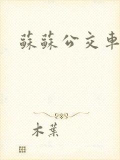 苏苏公交车日记