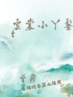 云裳小丫鬟txt