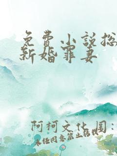 免费小说总裁的新婚罪妻