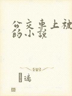公交车上被插入的小说