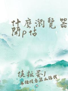 什么浏览器能打开p站