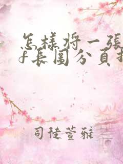 怎样将一张pdf长图分页打印