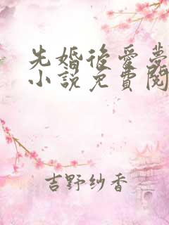 先婚后爱梦筱二小说免费阅读