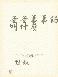 爸爸弟弟的儿子叫什么
