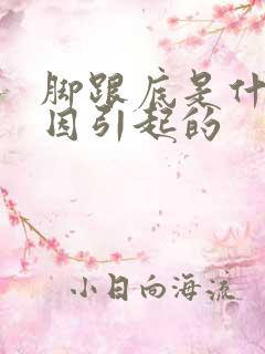 脚跟底是什么原因引起的