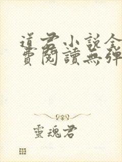 道君小说全文免费阅读无弹窗