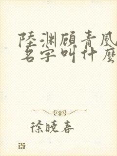 陆渊顾青凰小说名字叫什么