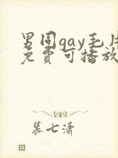 男同gay毛片免费可播放