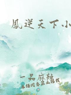 凤逆天下小说