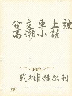 公交车上被插到高潮小说